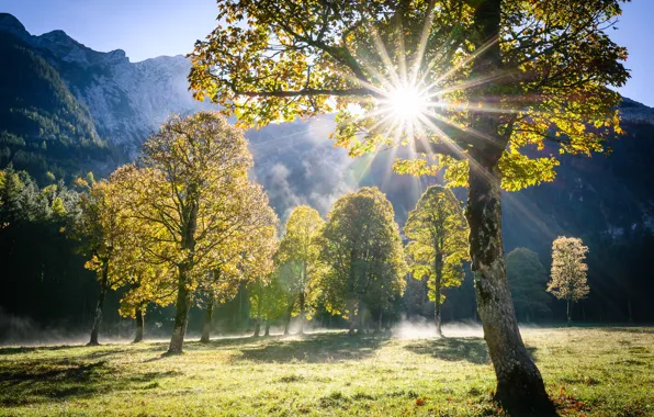 Picture the sun, rays, trees, landscape, mountains, nature, Austria, Alps