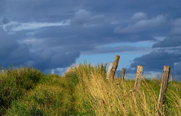 Field, the sky, grass, landscape, the fence