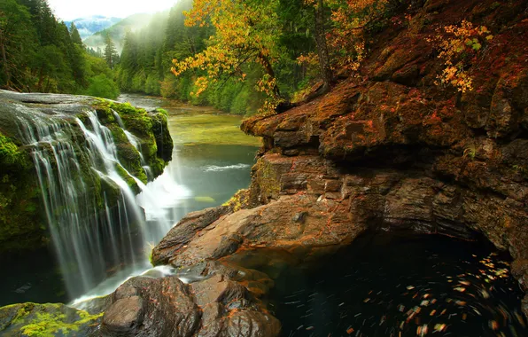 Forest, nature, river, stones, photo, waterfall, Washington, USA