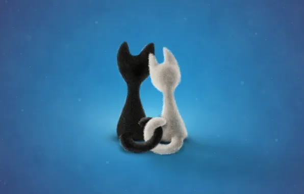 White, love, cats, black