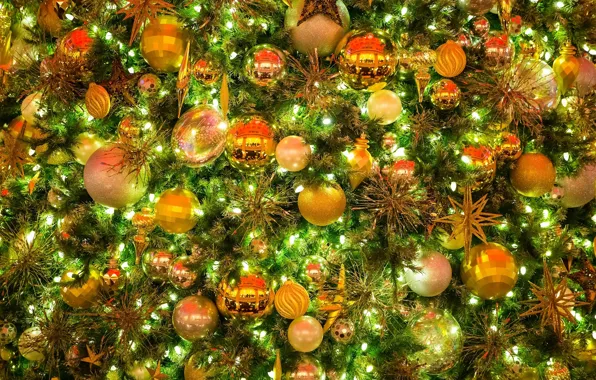 Decoration, toy, tree