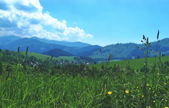 Summer, Clouds, Sky, Grass, nature, valley, Slovakia, moutains