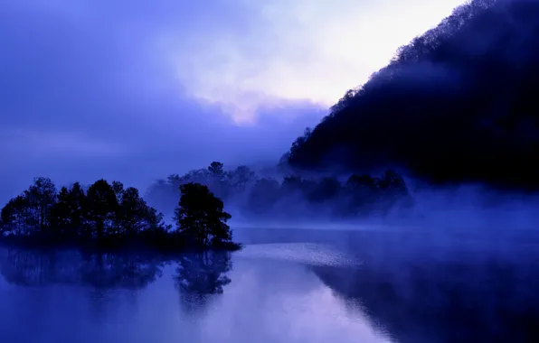 Picture the sky, trees, clouds, fog, reflection, blue, shore, the evening