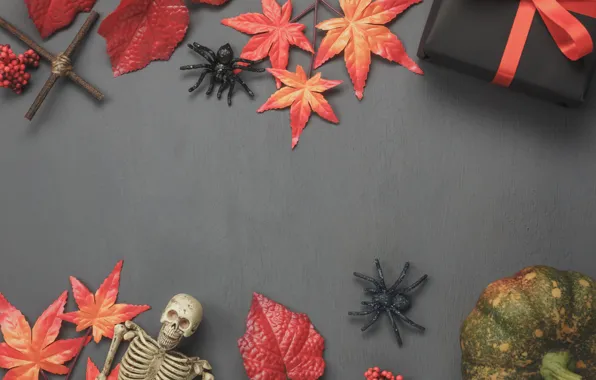 Picture autumn, leaves, background, tree, gifts, Halloween, halloween, wood