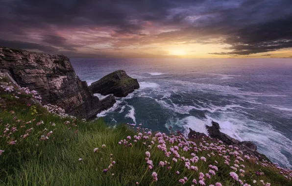 Sea, grass, landscape, sunset, clouds, nature, rocks, shore