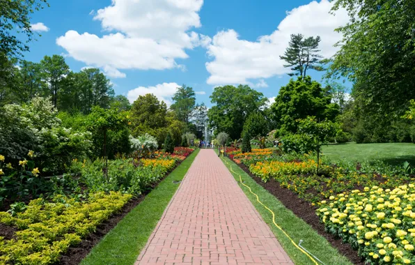 Greens, trees, flowers, Park, people, track, fountain, USA