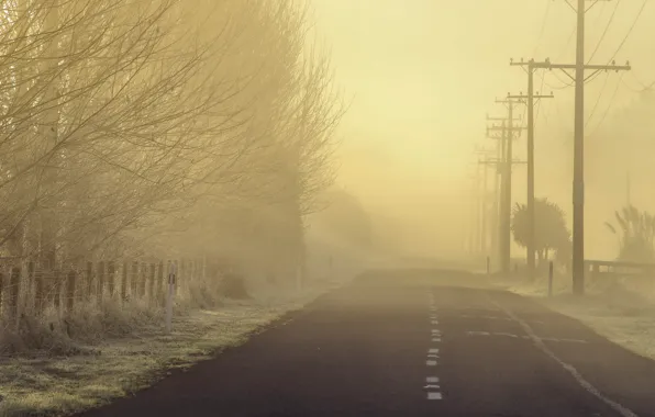 Road, landscape, fog, morning