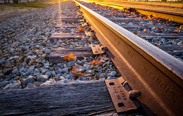 Picture perspective, rails, railroad