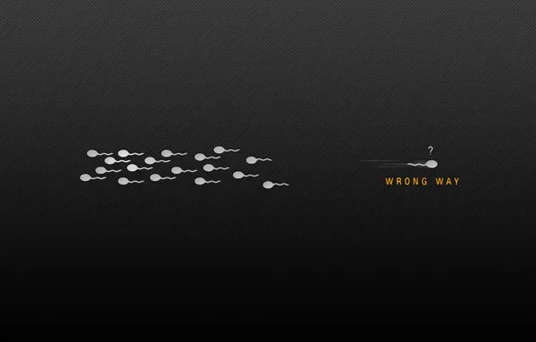 Picture background, the inscription, Wallpaper, black, minimalism, Wrong Way, sperm