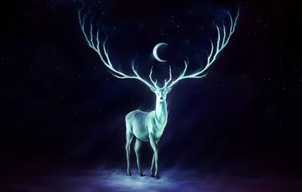 The sky, stars, the moon, Deer, horns