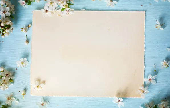 Picture flowers, spring, Apple, wood, blue, blossom, flowers, spring