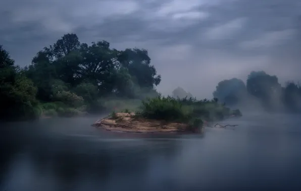 Trees, landscape, night, nature, fog, river, the bushes, Andrei