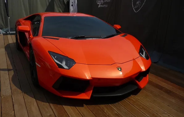 Orange, shadow, lamborghini, front view, orange, aventador, lp700-4, Lamborghini