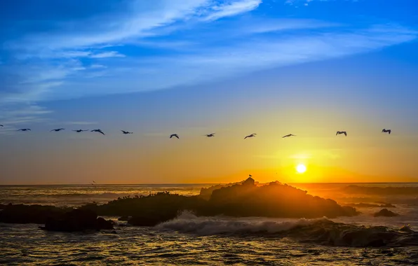 Picture beach, the sky, sunset, birds, stone, horizon