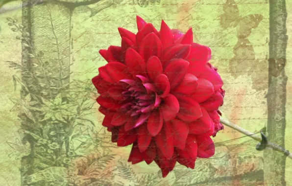 Picture flower, style, background, postcard