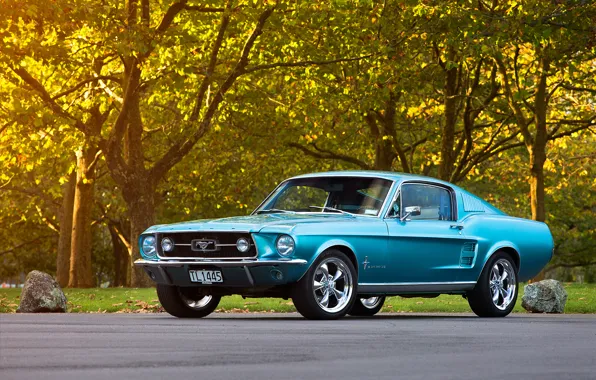 Picture Mustang, Ford, 1967, Fastback