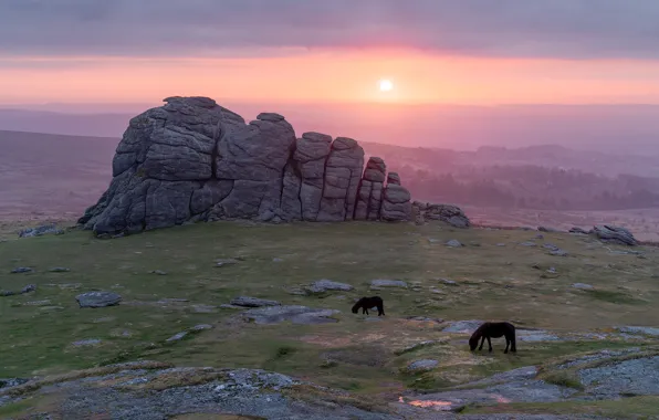 Mountains, fog, stones, rocks, dawn, horses, dal, morning