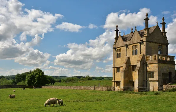 Picture greens, field, grass, clouds, nature, green, the building, Nature