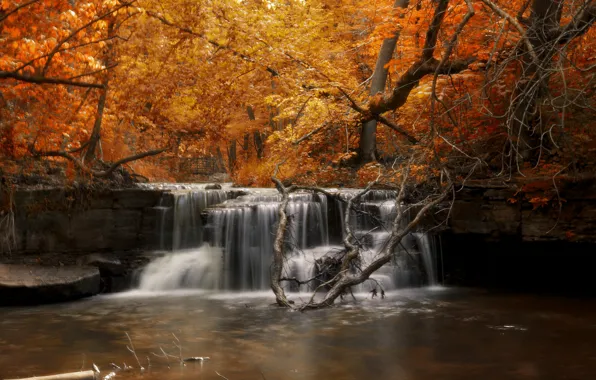 Autumn, forest, river, waterfall