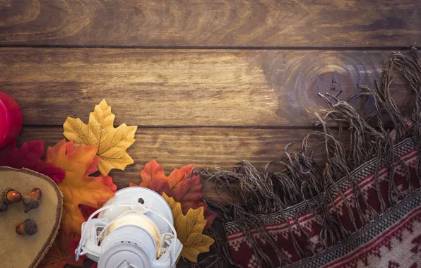 Autumn, leaves, tree, colorful, scarf, lantern, wood, acorns