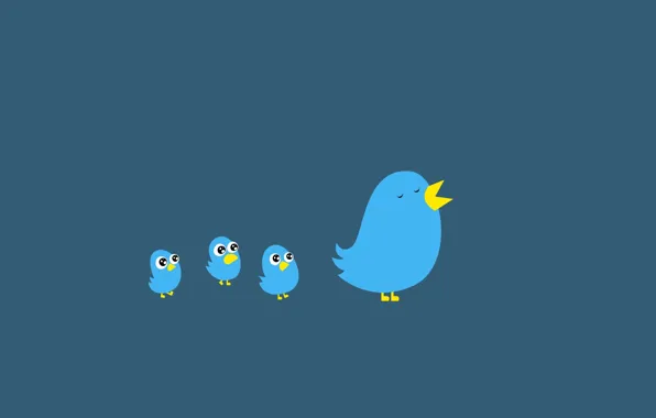 Picture birds, logo, beak, twitter