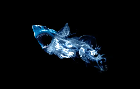 Picture abstraction, smoke, shark
