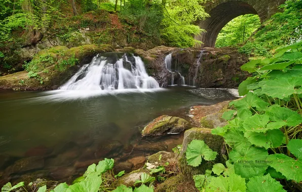 Greens, forest, river, waterfall, Scotland, Michael Breitung