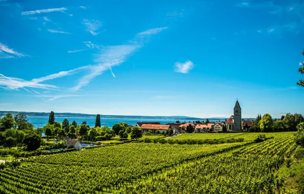 Picture greens, field, the sky, the sun, trees, lake, home, Germany