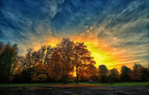 Picture autumn, sunset, Park, the evening