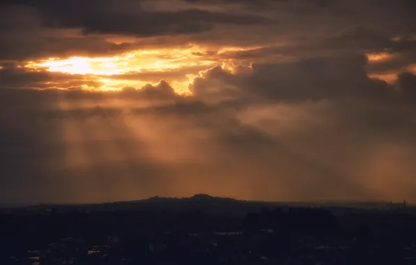 Picture the sun, rays, sunrise, Wallpaper