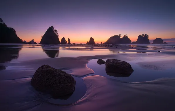 Beach, water, trees, stones, the ocean, rocks, the evening, Washington