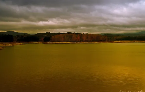 Forest, clouds, lake, Toni Jara
