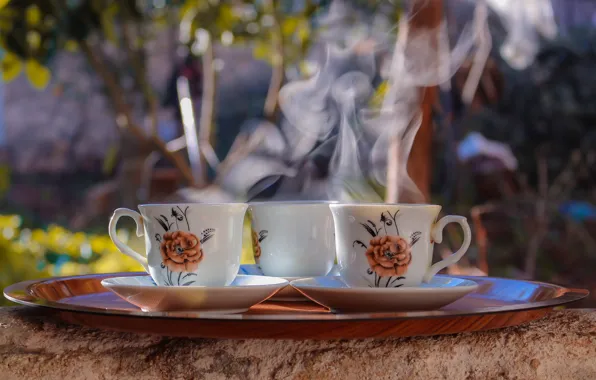 Nature, tea, coffee, hot, couples, the tea party, Cup, drink