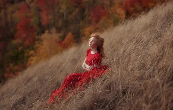 Field, autumn, forest, girl, slope, hill, sitting, red dress