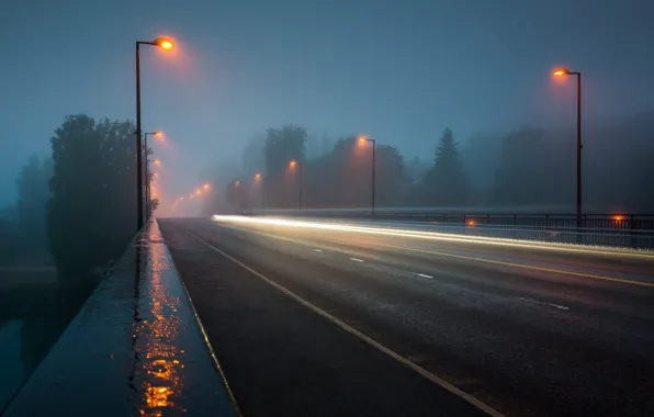 Fog, Road, the evening, lights