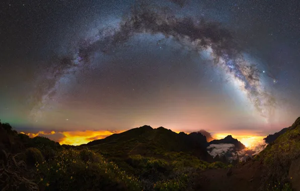 The sky, space, stars, light, flowers, mountains, night, lights