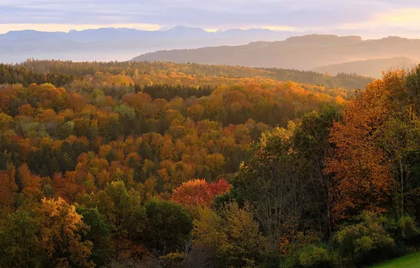 Autumn, forest, clouds, light, mountains, fog, hills, the slopes