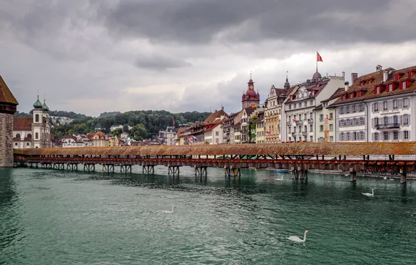 Bridge, river, building, tower, Switzerland, swans, Switzerland, Lucerne