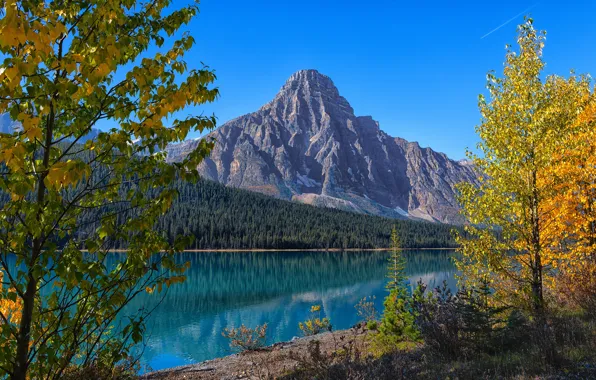 Picture autumn, trees, mountains, river, Canada, Albert, Banff National Park, Alberta