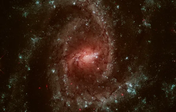 Picture substance, spiral galaxy, jumper, multi - sleeve, NGC 2835