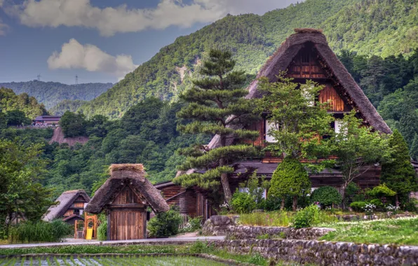 Greens, trees, landscape, house, plants