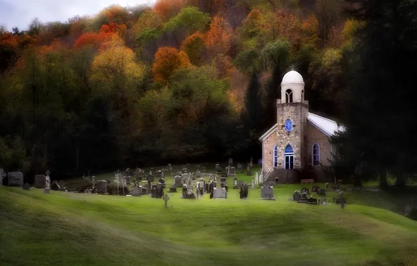 Field, autumn, forest, grass, trees, graves, foliage, Church