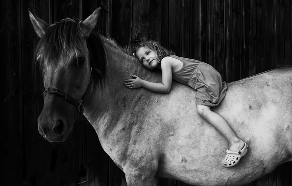Picture background, horse, girl