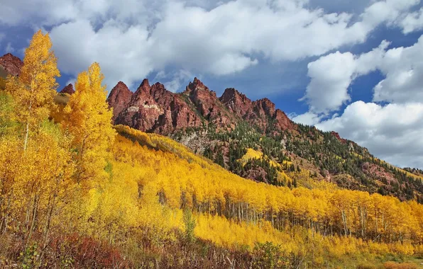 Autumn, forest, trees, mountains, Colorado, Colorado, Maroon Bells, Sievers Mountain