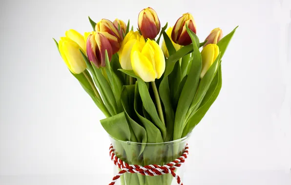 Picture tulips, flowers, tulips, bouquet