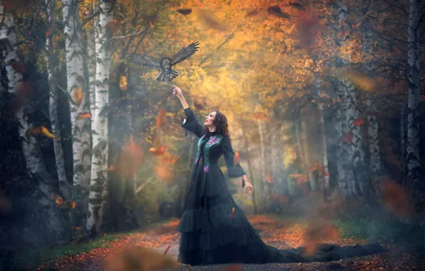 Autumn, forest, girl, nature, pose, Park, owl, bird