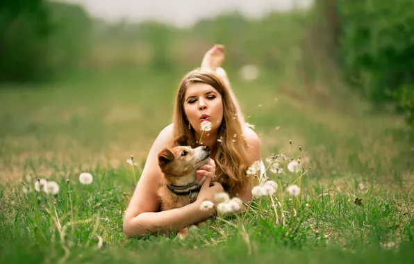 Girl, glade, woman, dog, dandelions