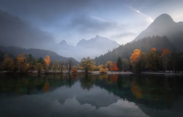 Picture autumn, forest, trees, mountains, fog, reflection, shore, morning
