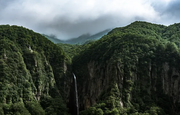 Greens, forest, the sky, trees, nature, waterfall