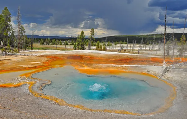 Picture the sky, trees, clouds, lake, geyser